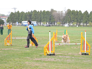 競技中