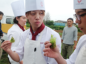 仙台野菜の美味しさを実感